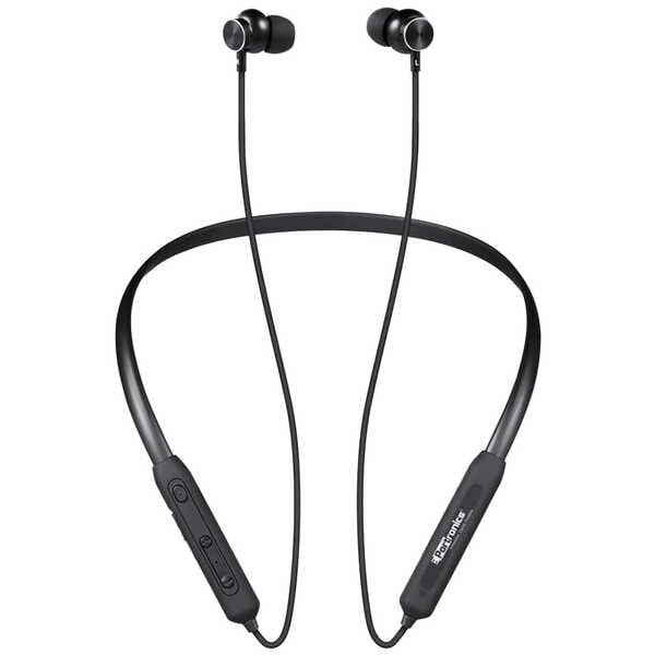 portronics harmonics 216