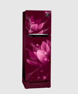 Samsung RT28A3122R8 253 litre Double Door Refrigerator