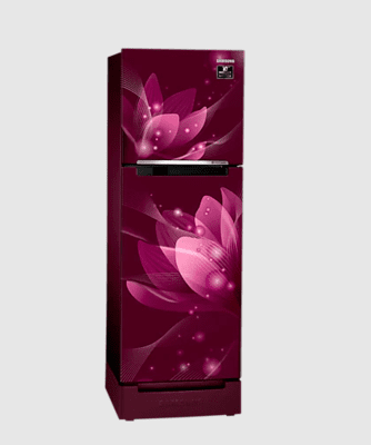 Samsung RT28A3122R8 253 litre Double Door Refrigerator Samsung RT28A3122R8 253 litre Double Door Refrigerator