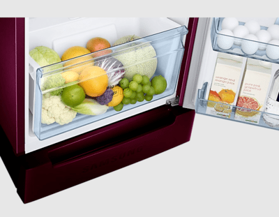 Samsung RT28A3122R8 253 litre Double Door Refrigerator Samsung RT28A3122R8 253 litre Double Door Refrigerator
