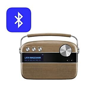 05 Saregama Carvaan Hindi Dillimall.com