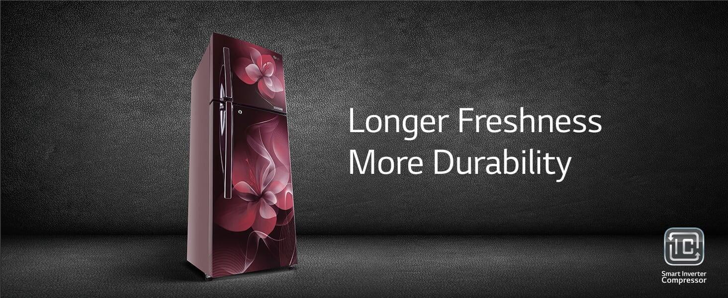 LG 260 litre N292KDSR Refrigerator On Dillimall.Com