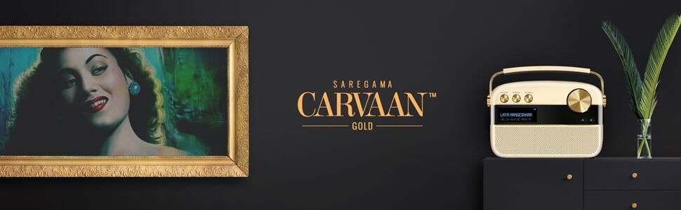 Saregama Carvaan Portable Music Player Dillimall.Com