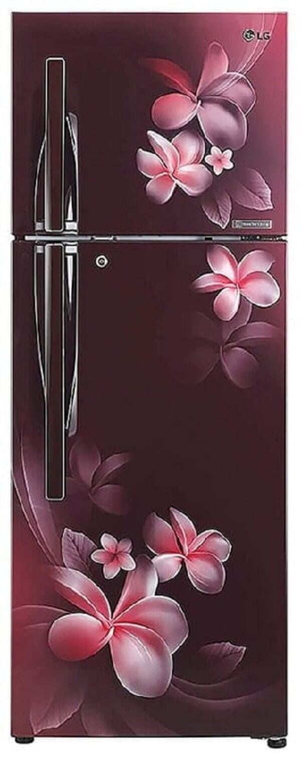 Lg 284 L Refrigerator On Dillimall.Com Lg 284 L Refrigerator On Dillimall.Com