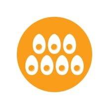 Kent Egg Boiler, 360 Watt On Dillimall.Com