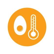 Kent Egg Boiler, 360 Watt On Dillimall.Com