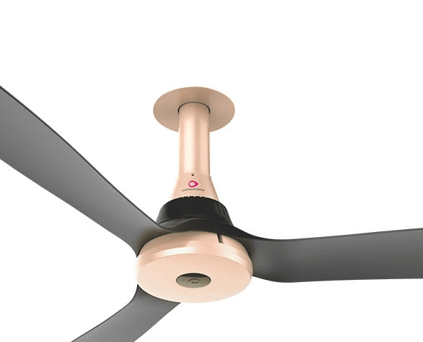 Ottomate Prime Standard Ceiling Fan On Dillimall.Com