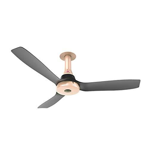 Ottomate Prime Ready 300 RPM Ceiling Fan On Dillimall.Com