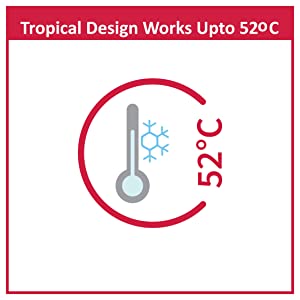 tropical design