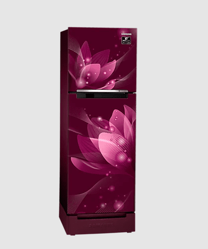 Samsung RT28A3122R8 253 litre Double Door Refrigerator On Dillimall.Com