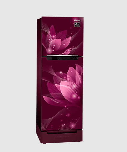 Samsung RT28A3122R8 253 litre Double Door Refrigerator On Dillimall.Com Samsung RT28A3122R8 253 litre Double Door Refrigerator On Dillimall.Com