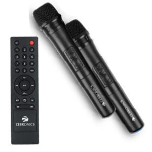 dual wireless mic and remote