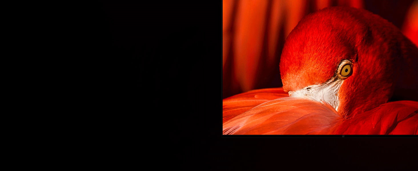 Qled , gamma color magic, HDR, Dolby